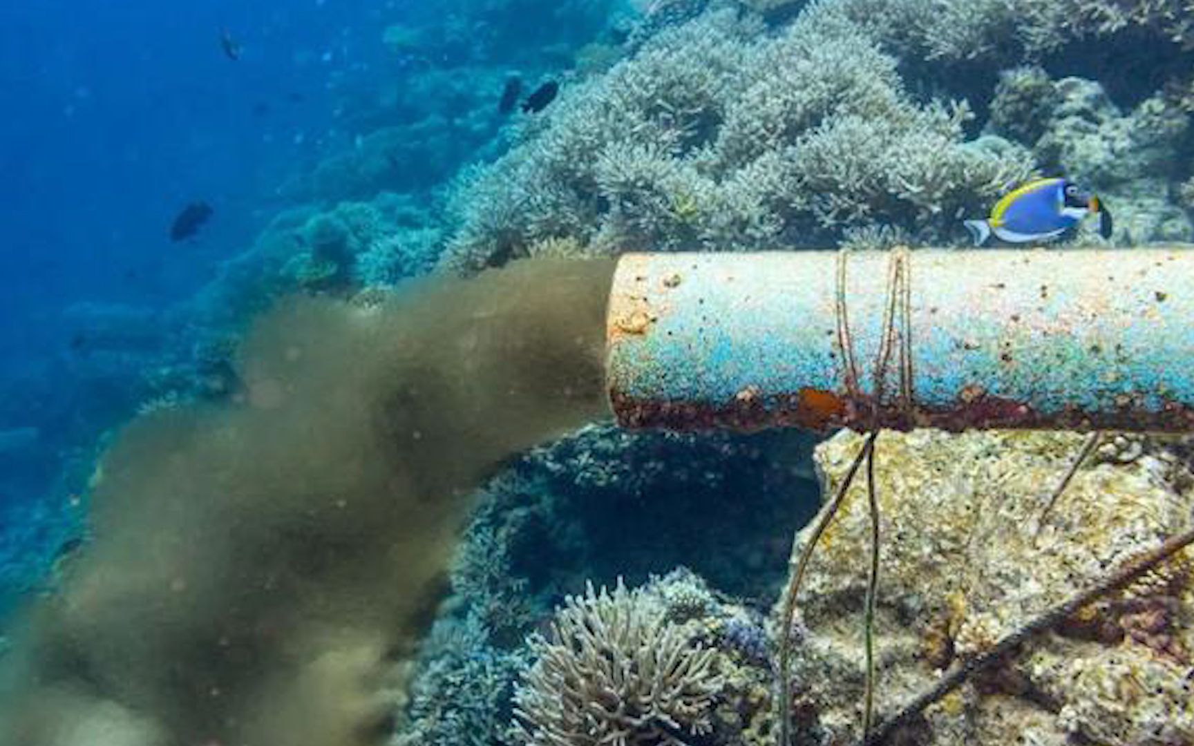 核污水离美国_美国核污水排入大海_各国核污水处理
