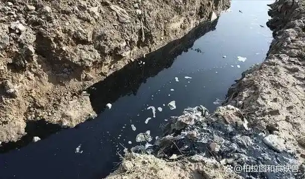 意大利核污水_核污水其他国家怎么处理_各国核污水处理